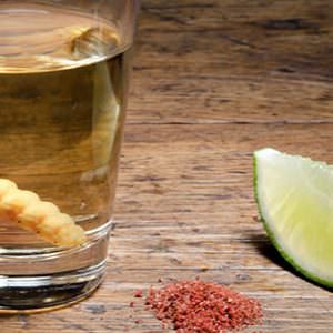 The Truth About the Worm in Your Tequila