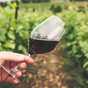 Common Wine Additives And Why They Matter