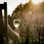 Person Holding Clear Wine Glass Facing Green Leafed Trees during Golden Hour
