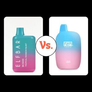 Elf Bar vs. Flum Pebble | Which Disposable Vape is Better?